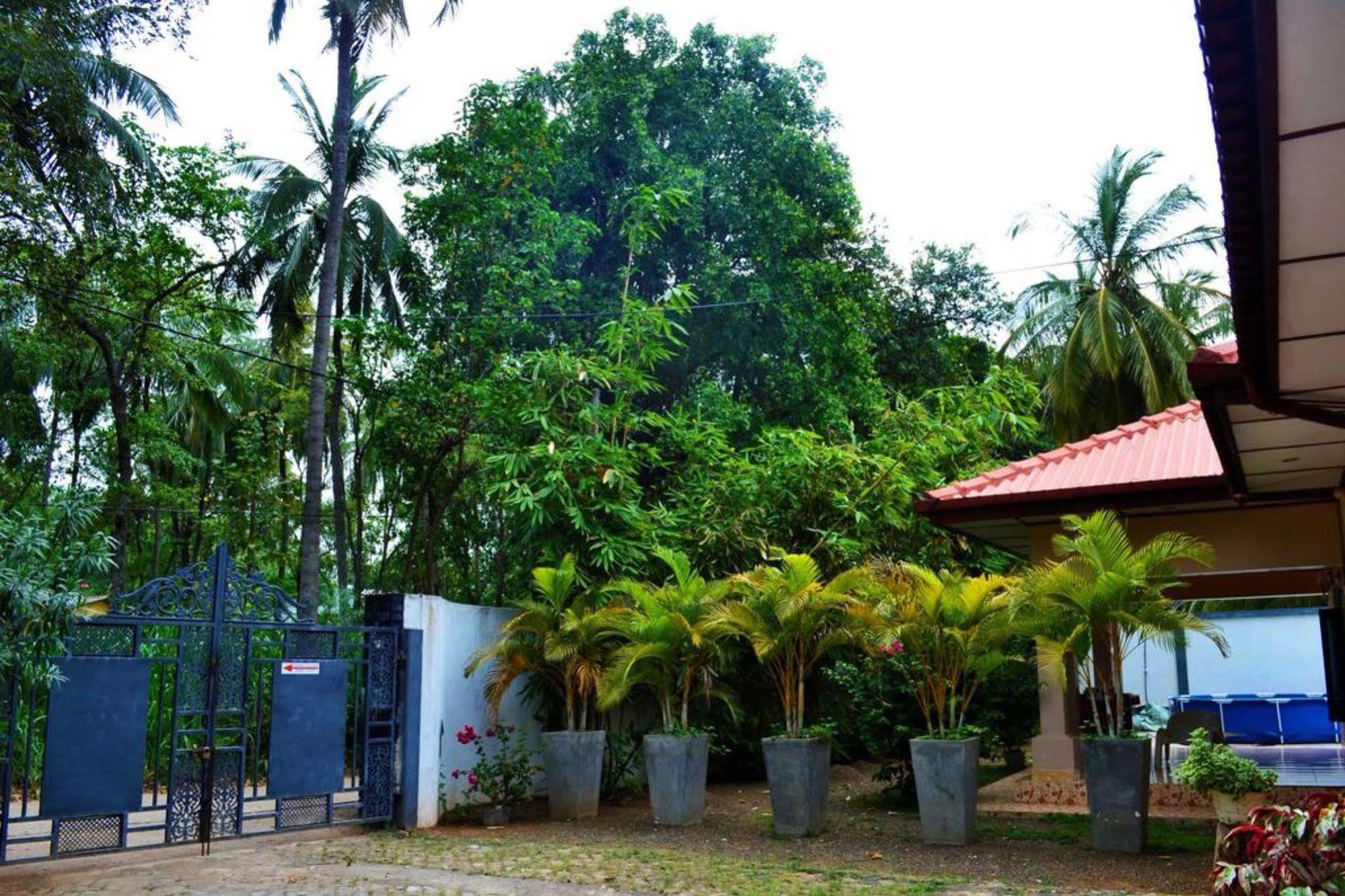 Dambulla City Hostel Exterior photo